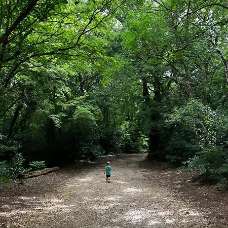Mare - Modern With Swimming Pool And Jacuzzi Villa Póla