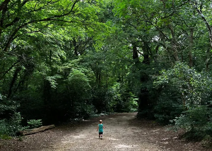 Mare - Modern With Swimming Pool And Jacuzzi Вилла Пула